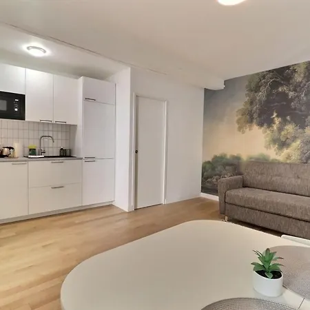 Apartment Boucherat Studio Cosy Centre Clim Mon Groom *
